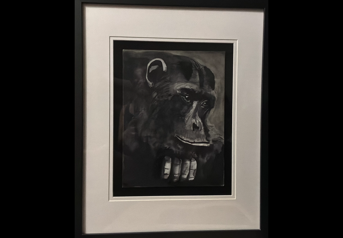 A framed black and white artwork depicting a chimpanzee face and hands, presented with a wide white mat and a black frame against a dark background.