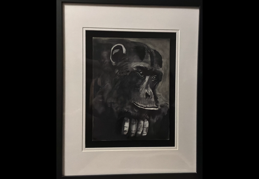 A framed black and white artwork depicting a chimpanzee face and hands, presented with a wide white mat and a black frame against a dark background.